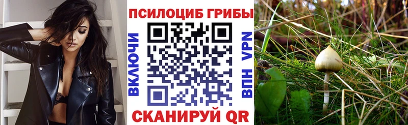 Галлюциногенные грибы Psilocybine cubensis Ермолино